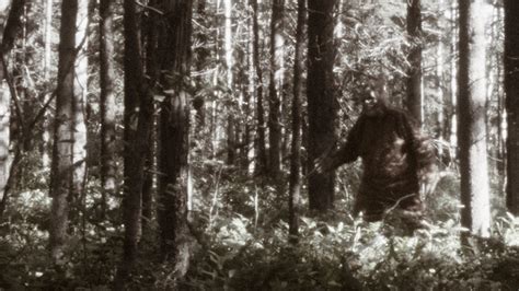 Bigfoot Or Skunk Ape Caught On Camera In Georgia | iHeart