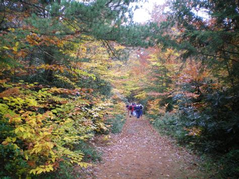 Top 10 Hiking Trails in the Pocono Mountains: Your Guide to Outdoor ...