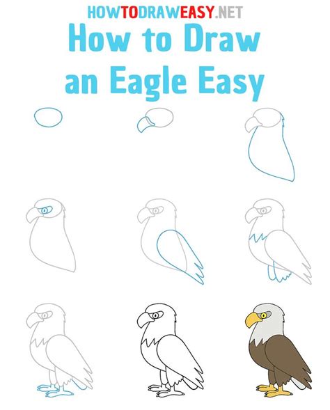 Bald Eagle Drawing | Eagle drawing, Eagle drawing easy, Easy drawings