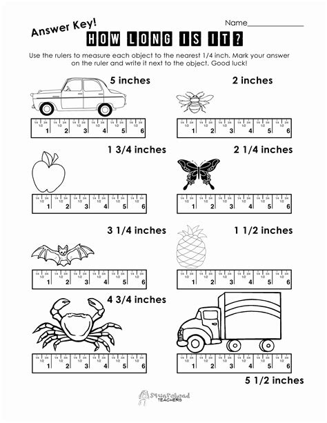 50 Reading A Ruler Worksheet Pdf