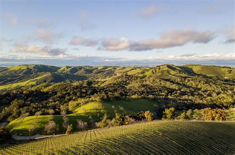 Daou: behind this Paso Robles estate, plus 11 tasting notes - Decanter