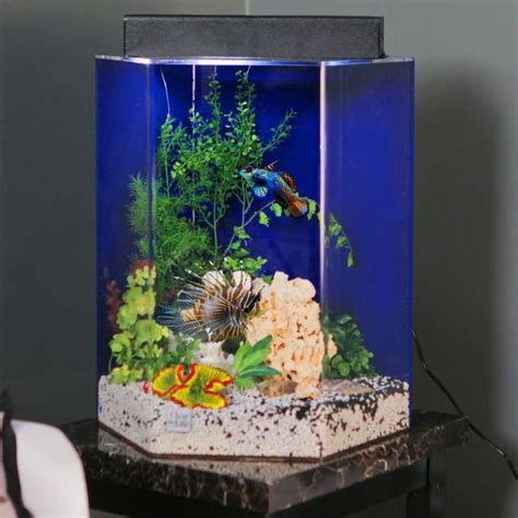 Like new 20 gallon Hexagon aquarium for Sale in Naples, FL - OfferUp