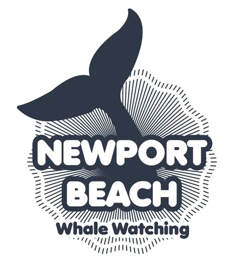 Go Whale Watching – Newport Beach Whale Watching