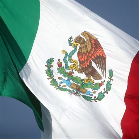 Top 110+ imagen significado del aguila en la bandera mexicana - Abzlocal.mx