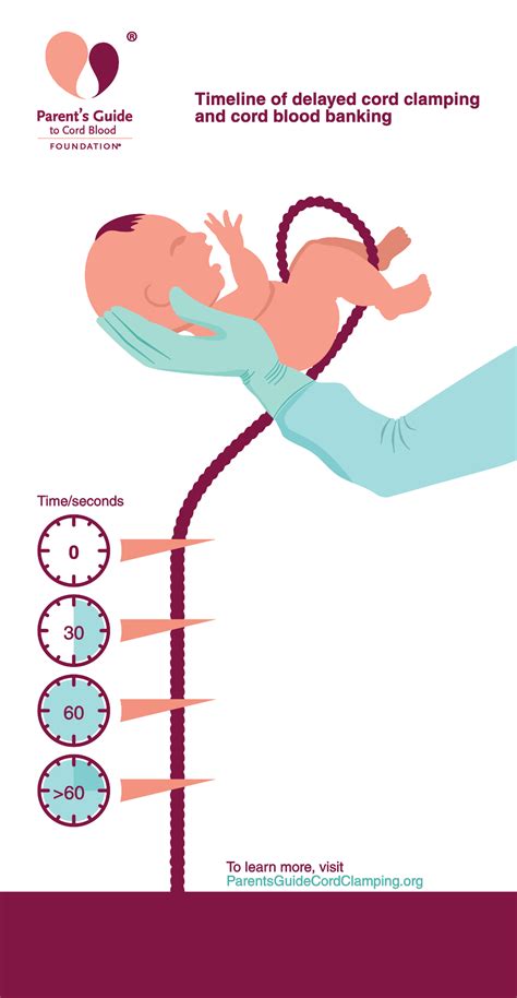 What is Delayed Cord Clamping