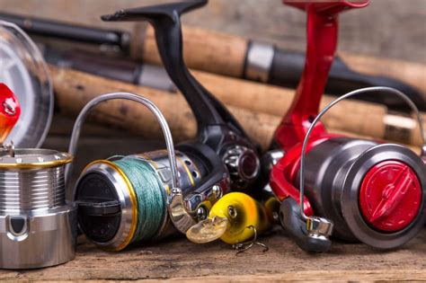 3 Best Types of Fishing Reels: & (7 Top Fishing Reel Brands)