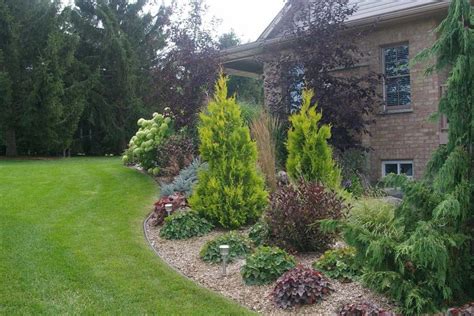 Types Of Dwarf Pine Trees For Landscaping — Randolph Indoor and Outdoor ...