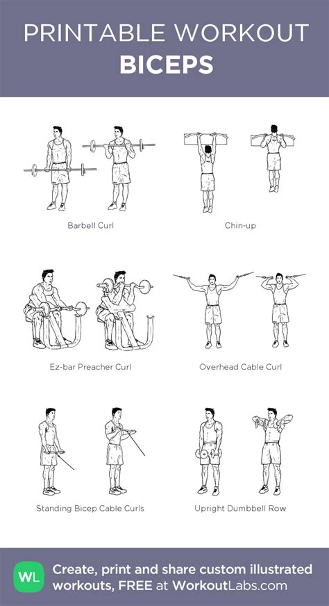 Get Crossfit Arm Dumbbell Workout Gif - best arm and chest workout