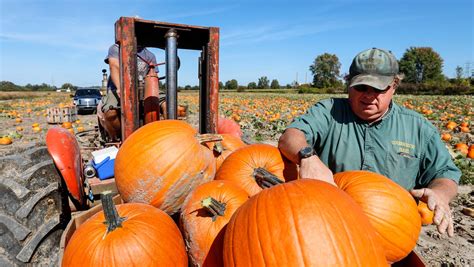 Marine City sets unofficial Guinness World Record for pumpkin carving