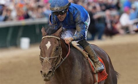 Horse Racing Legends Cody’s Wish, White Abarrio, and More Set to ...