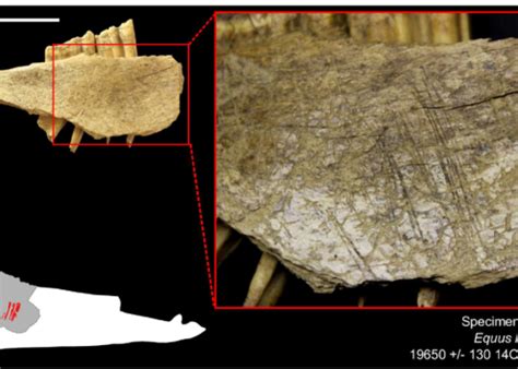 Bluefish Caves | Kansas Geological Survey