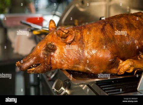 roast suckling pig Stock Photo - Alamy