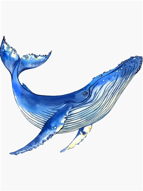 Sticker for Sale mit "Aquarellwal" von Evgeniia Zagreeva | Whale ...