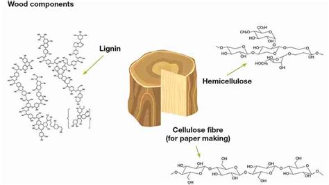 lignin properties – GREEN AGROCHEM