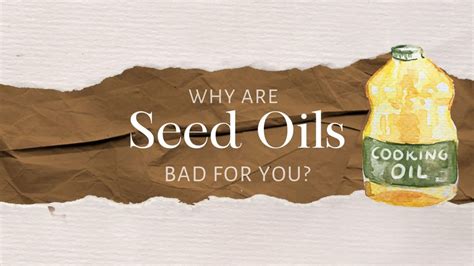 Why Are Seed Oils Bad for You? - The Top Supplements