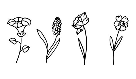 Flowers set in outline doodle flat style. Vector illustration set on white background. 20645981 ...