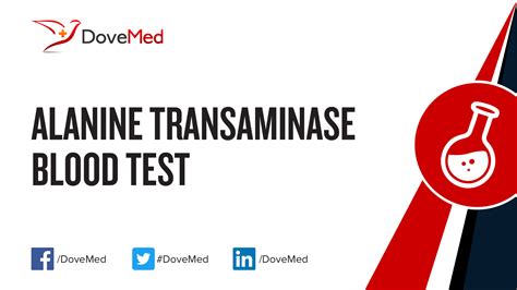 Alanine Transaminase Blood Test