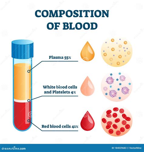 Blood Composition Stock Illustrations – 4,525 Blood Composition Stock ...