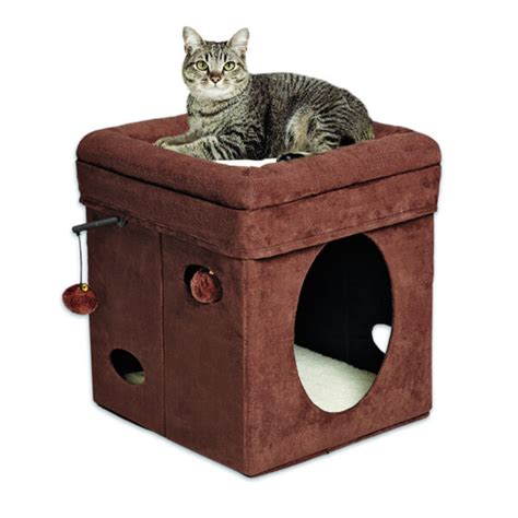 Curious Cat Cube - Naturally For Pets