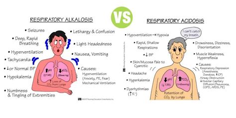 Difference Between Respiratory Acidosis and Respiratory Alkalosis ...