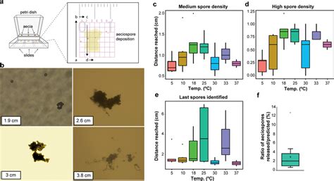 Changes in temperature did not alter the rate of aeciospore release a... | Download Scientific ...