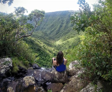 Black River Gorges National Park.