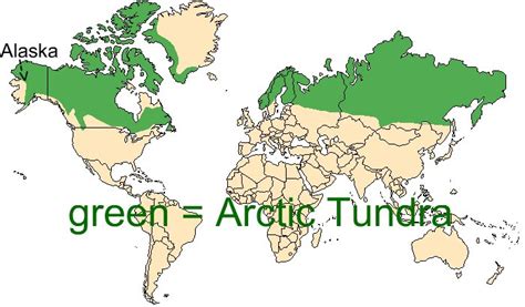 Arctic Tundra Biome