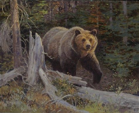 Pin by Crista Forest Wildlife Art on Art - Wildlife - Bears | Bear ...