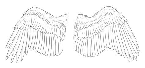 Eagle Wings Sketch at PaintingValley.com | Explore collection of Eagle Wings Sketch