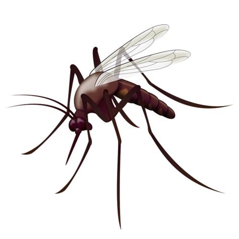 Emoji Request - MosquitoEmoji