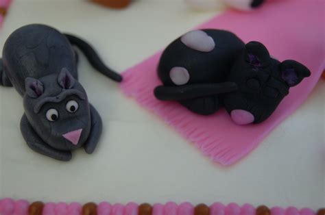 Crazy Cat Lady Cake - CakeCentral.com