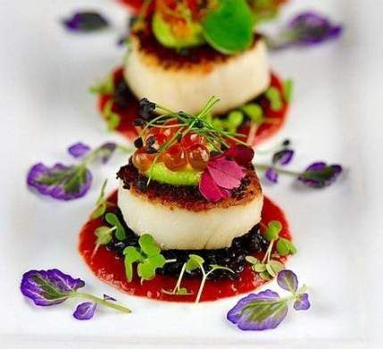 Appetizers Gourmet Fine Dining 45+ Ideas | Gourmet food plating ...