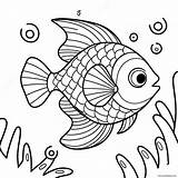 Rainbow Fish Coloring Page 17730 13984 sketch template