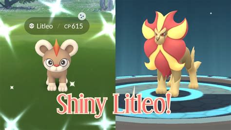 Catching SHINY Litleo in Pokémon Go! Shiny Pyroar Evolution! - YouTube