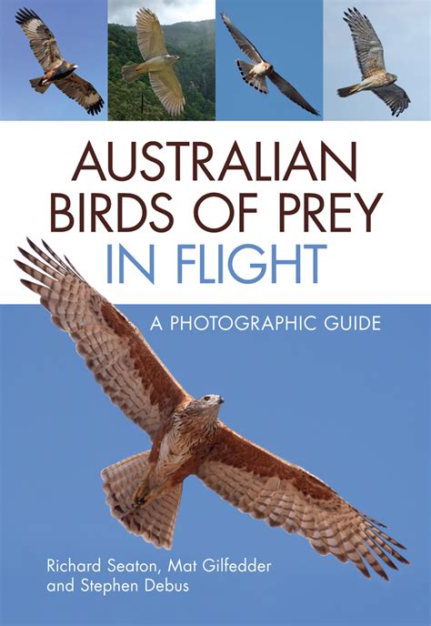 Australian Birds of Prey in Flight: A Photographic Guide - Nokomis