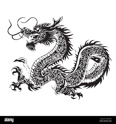 chinese dragon illustration in black color. Chinese dragon tattoo. Vector illustration. Isolated ...