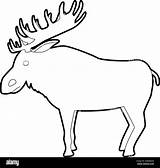 Elk Clip Art Black White sketch template