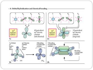 Hibridacion del atomo de carbono | PPT | Descarga Gratuita