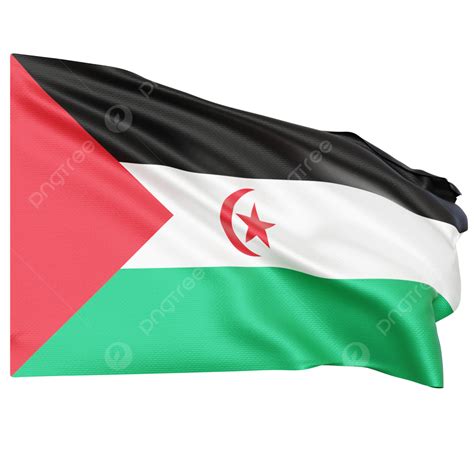 Western Sahara Flag Waving, Western Sahara Flag With Pole, Western ...