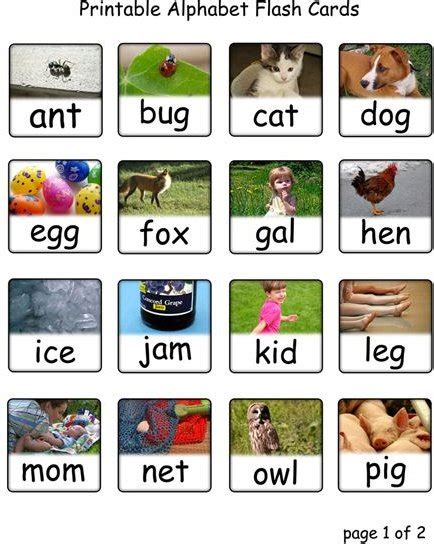 three letter animals names