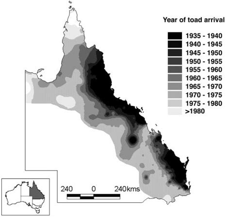 GIS layer describing the timing of the cane toad invasion in ...