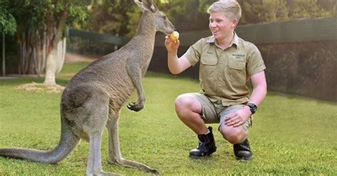 From Brisbane: Australia Zoo Ticket and Roundtrip Transfer | GetYourGuide