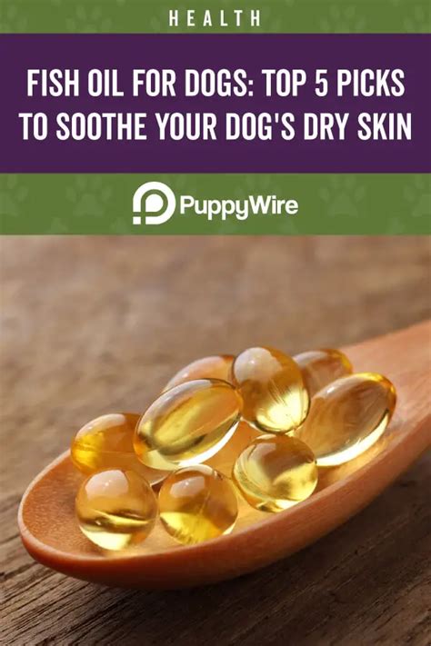 Best Fish Oil for Dogs: Top 6 Comparison w/ Reviews (2022)