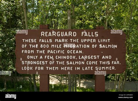 Information sign about Rearguard Falls, the upper limit of the Fraser ...