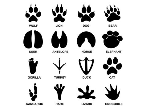 Animal Tracks SVG, Silhouette, Cricut, Animal Footprints Clipart, Graphic Design,wolf, gorilla ...