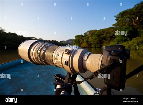 Big telephoto lens ready for wildlife photography at Gatun lake ...