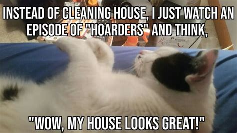 Pin by Lady Jane Grey on Meme by Me | Clean house, Memes, Looks great