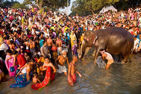 Bihar Sonepur Mela Fair Guide: How and When to See It