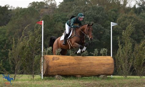 Top 10 Tips for Introducing Your Horse to Cross-Country with Tim Bourke