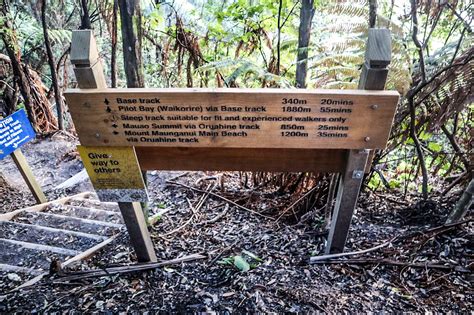 Mount Maunganui HIke: Fun Base Walk & Can't Miss Summit Climb